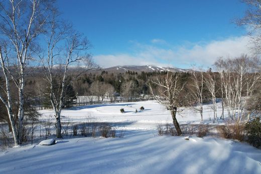 Grundstück in Dover, Windham County