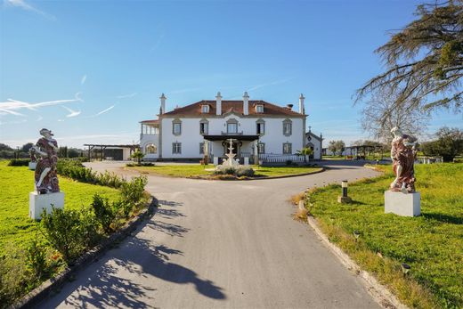 Propriété de campagne à Castelo Branco, Distrito de Castelo Branco