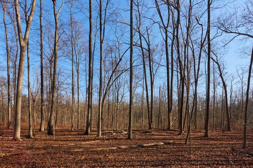 Land in Germantown, Columbia County