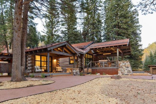 Casa di lusso a Dolores, Montezuma County