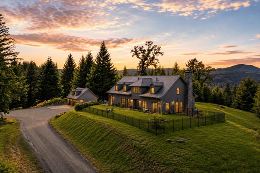 Luxury home in Dallas, Polk County