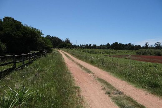 Landhuis in Punta Ballena, Maldonado