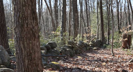 Land in Lunenburg, Worcester County