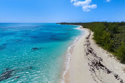 Palmetto Point, Central Eleuthera Districtの土地