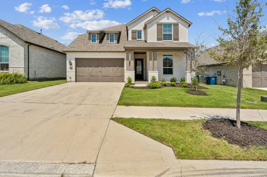 Aledo, Parker Countyの一戸建て住宅