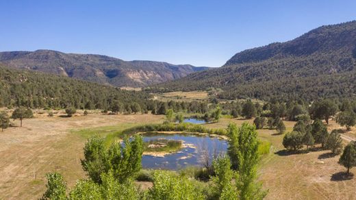 Arsa Mancos, Montezuma County