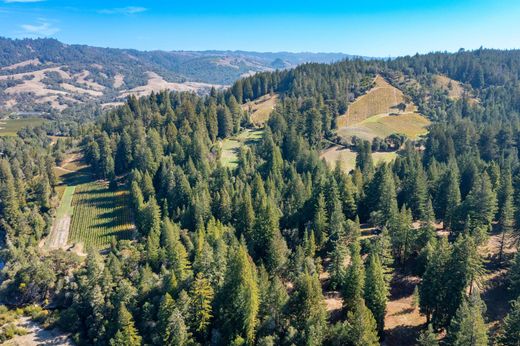 Casa de lujo en Philo, Mendocino County