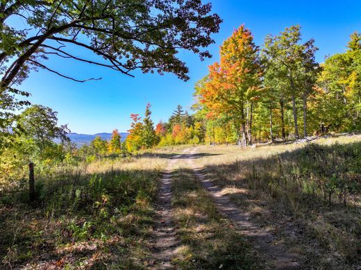 Grundstück in Au Sable Forks, Clinton County