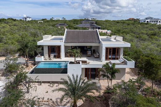 Vrijstaand huis in Dorp Sint Willebrordus