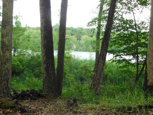 ‏קרקע ב  Salisbury, Litchfield County