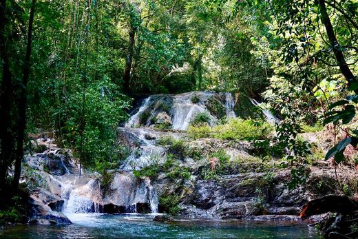 Участок, Пунтаренас, Cantón de Puntarenas