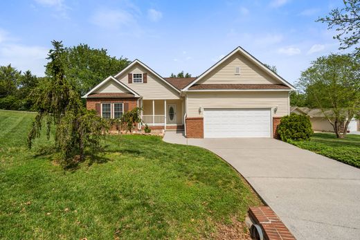 Частный Дом, Loudon, Loudon County