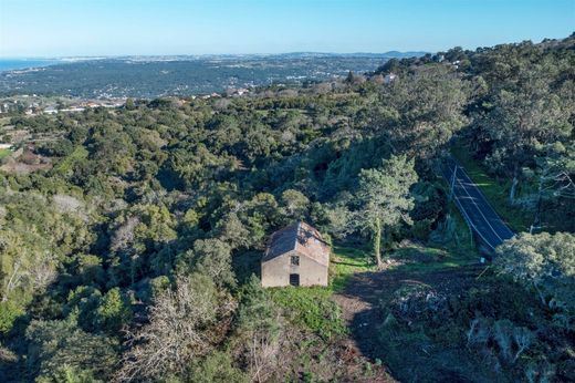 Land in Sintra, Lisbon