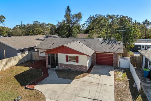 Einfamilienhaus in Dunedin, Pinellas County