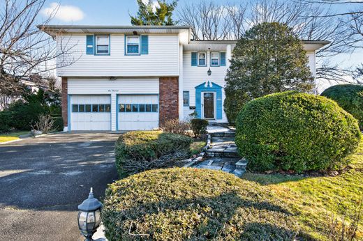 Einfamilienhaus in Albertson, Nassau County