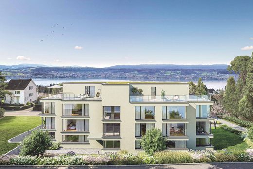 Apartment in Herrliberg, Bezirk Meilen