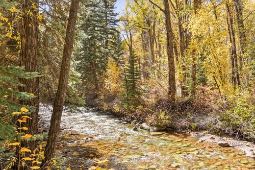 Müstakil ev Aspen, Pitkin County