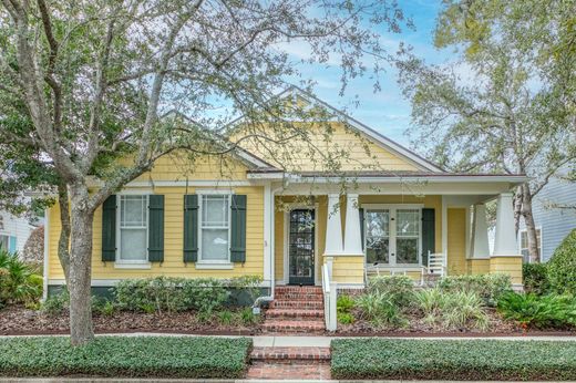 Maison de luxe à Fernandina Beach, Comté de Nassau
