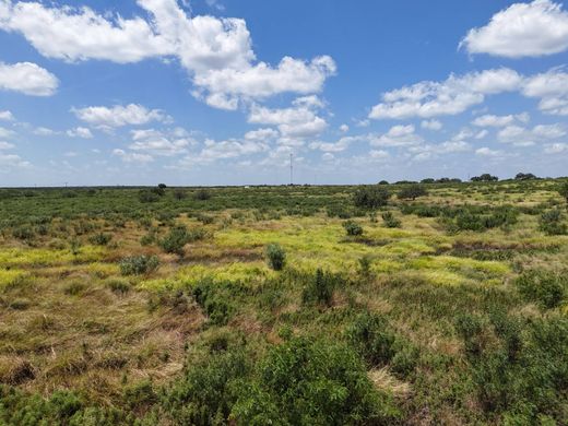 ‏בתי כפר ב  George West, Live Oak County