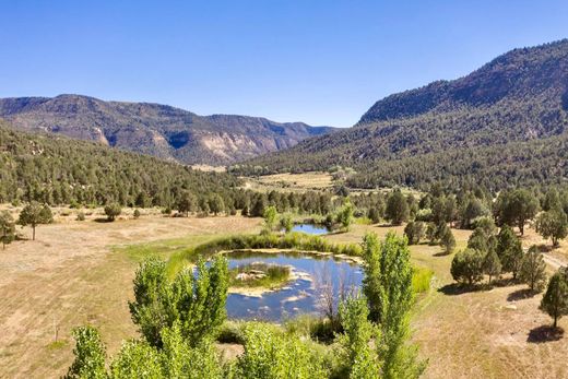 Country House in Mancos, Montezuma County