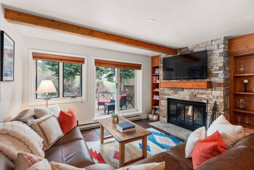 城市独宅  Snowmass Village, Pitkin County