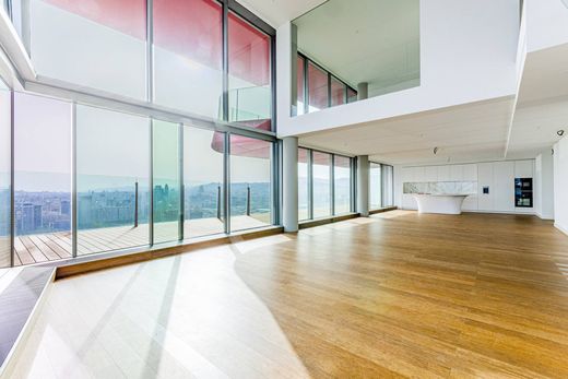 Dublex Barselona, Província de Barcelona