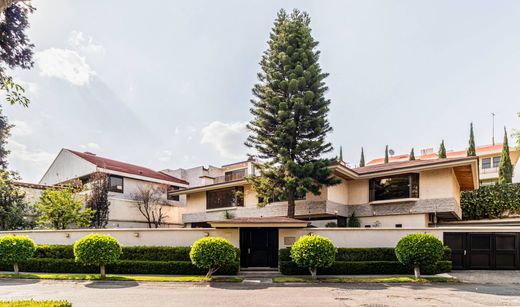 Detached House in Mexico City, The Federal District
