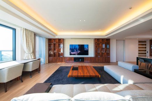 Apartment in Tokyo, Tokyo Prefecture