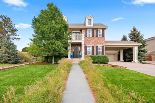 단독 저택 / Parker, Douglas County