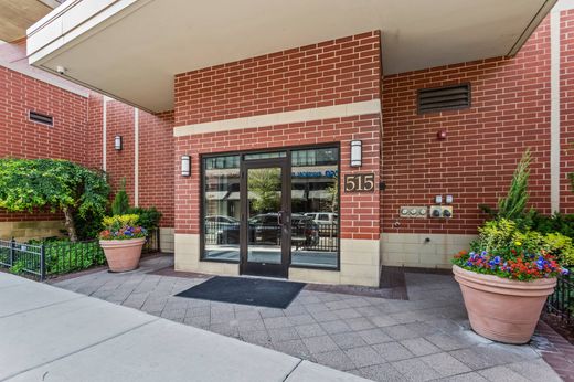 Luxury home in Evanston, Cook County