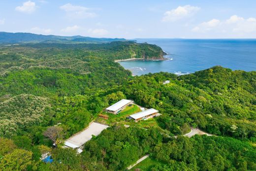 Элитный дом, Nosara, Nicoya