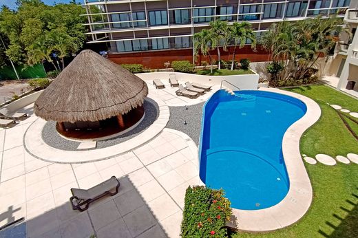 ‏דירה ב  פלאיה דל כרמן
, Solidaridad