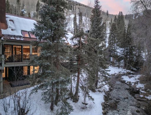 Telluride, San Miguel Countyのタウンハウス