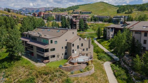 Apartment for sale in Mount Crested Butte