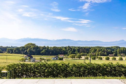 Detached House in Allaman, Morges District