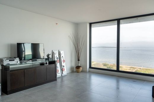 Daire Punta del Este, Punta Del Este