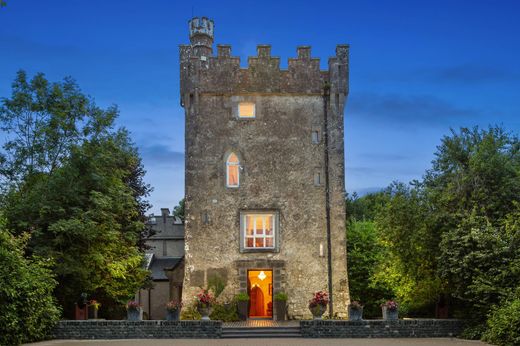 Einfamilienhaus in Kiltoom, Roscommon