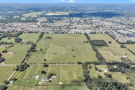 Propriété de campagne à Oxford, Comté de Sumter