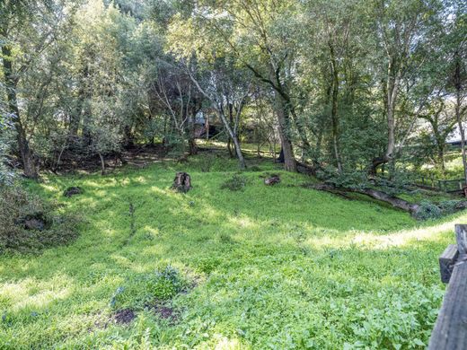 Land in Mill Valley, Marin County