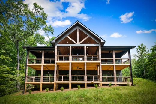 단독 저택 / Morganton, Fannin County