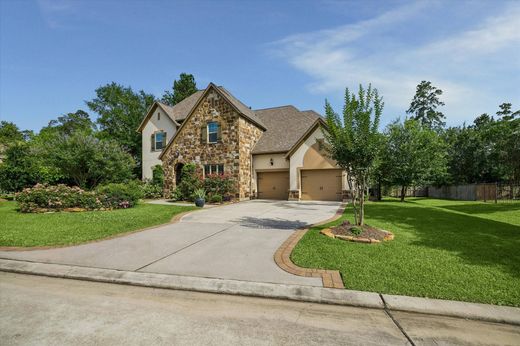 Частный Дом, The Woodlands, Montgomery County