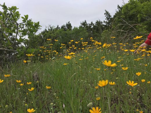 Terreno - Wimberley, Hays County