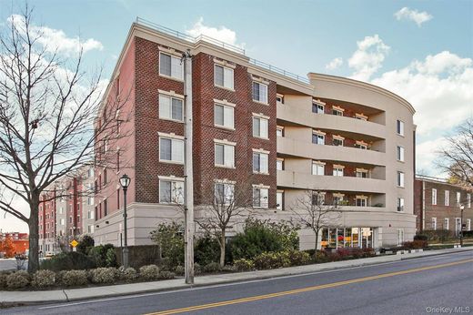 Piso / Apartamento en Westbury, Nassau County