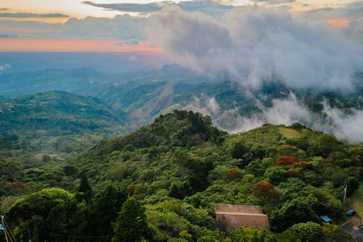 Arsa San Ramón, Provincia de Alajuela