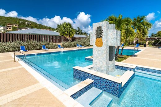 Apartment in Saint Thomas, Saint Thomas Island