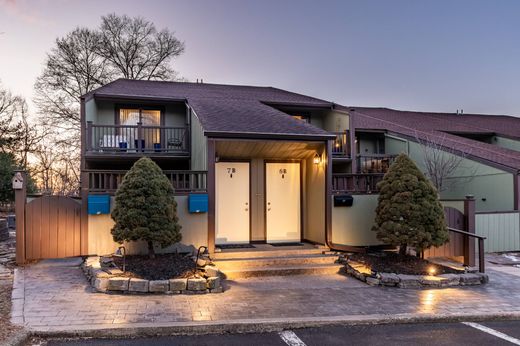 Townhouse in New Hope, Bucks County