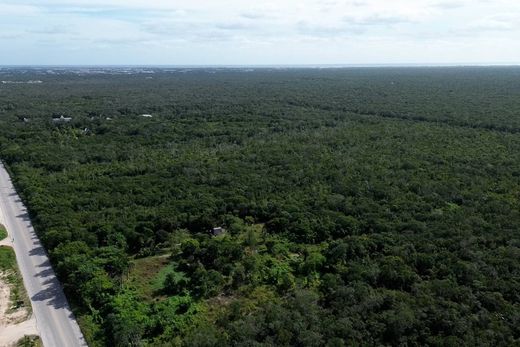 أرض ﻓﻲ Tulum, Estado de Quintana Roo