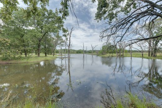 منزل ريفي ﻓﻲ Bonham, Fannin County