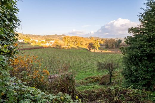 Landsitz in Amarante, Distrito do Porto