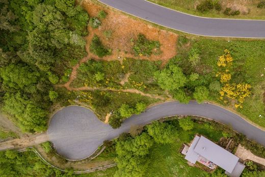 토지 / Neskowin, Tillamook County